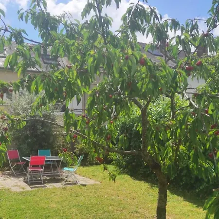 Maison 6 chambres avec jardin à Angers-2